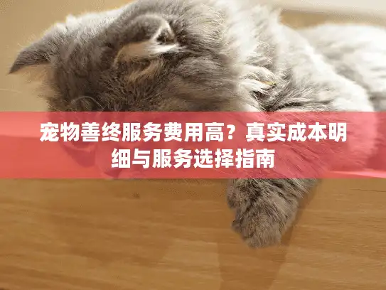 宠物善终服务费用高？真实成本明细与服务选择指南