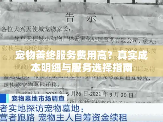 宠物善终服务费用高？真实成本明细与服务选择指南