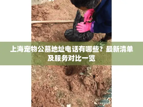 上海宠物公墓地址电话有哪些？最新清单及服务对比一览
