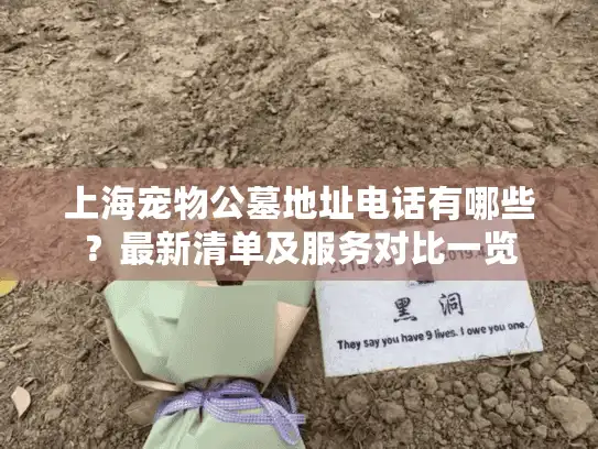 上海宠物公墓地址电话有哪些？最新清单及服务对比一览