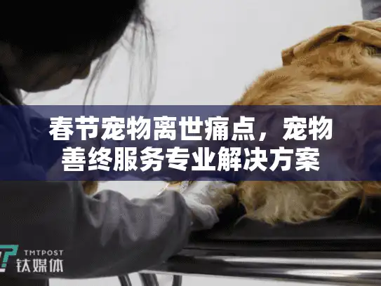 春节宠物离世痛点，宠物善终服务专业解决方案