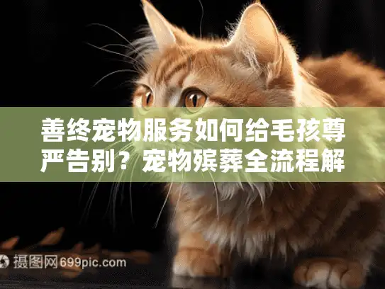善终宠物服务如何给毛孩尊严告别？宠物殡葬全流程解析