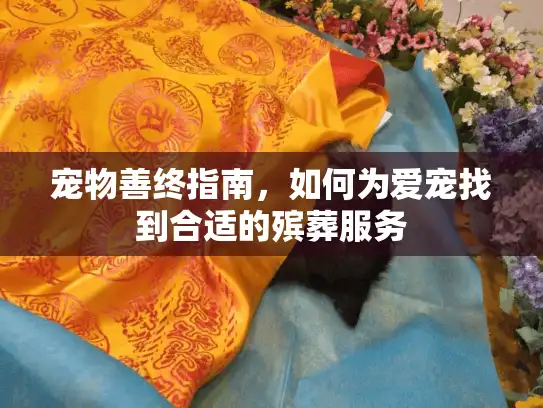 宠物善终指南，如何为爱宠找到合适的殡葬服务