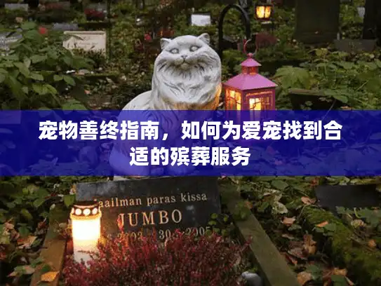 宠物善终指南，如何为爱宠找到合适的殡葬服务