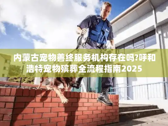 内蒙古宠物善终服务机构存在吗?呼和浩特宠物殡葬全流程指南2025