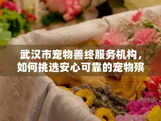武汉市宠物善终服务机构，如何挑选安心可靠的宠物殡葬服务？