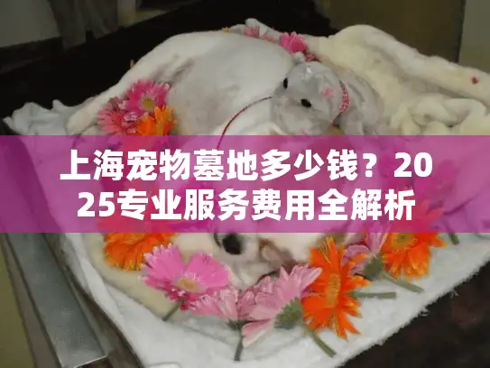 上海宠物墓地多少钱？2025专业服务费用全解析