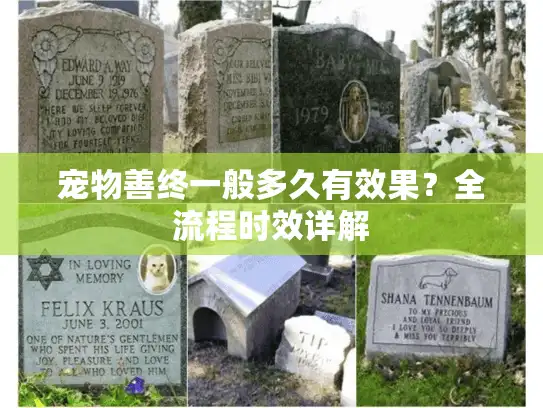 宠物善终一般多久有效果？全流程时效详解