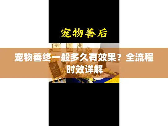 宠物善终一般多久有效果？全流程时效详解