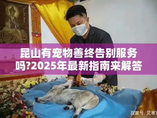 昆山有宠物善终告别服务吗?2025年最新指南来解答