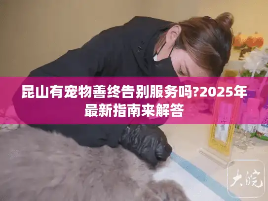 昆山有宠物善终告别服务吗?2025年最新指南来解答