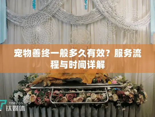 宠物善终一般多久有效？服务流程与时间详解