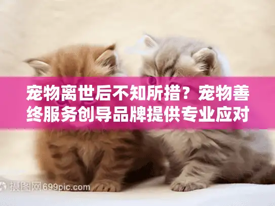 宠物离世后不知所措？宠物善终服务创导品牌提供专业应对方案