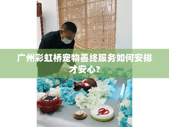 广州彩虹桥宠物善终服务如何安排才安心?
