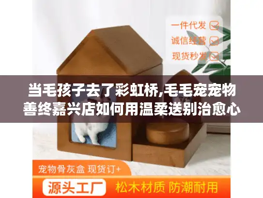 当毛孩子去了彩虹桥,毛毛宠宠物善终嘉兴店如何用温柔送别治愈心灵？