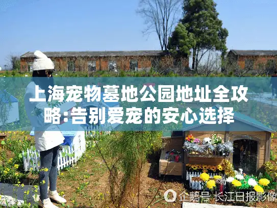 上海宠物墓地公园地址全攻略:告别爱宠的安心选择
