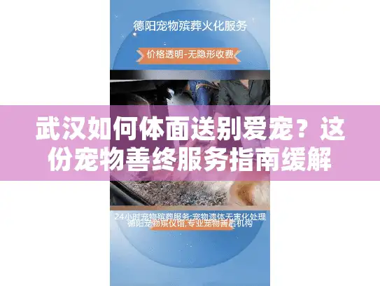 武汉如何体面送别爱宠？这份宠物善终服务指南缓解你的悲痛