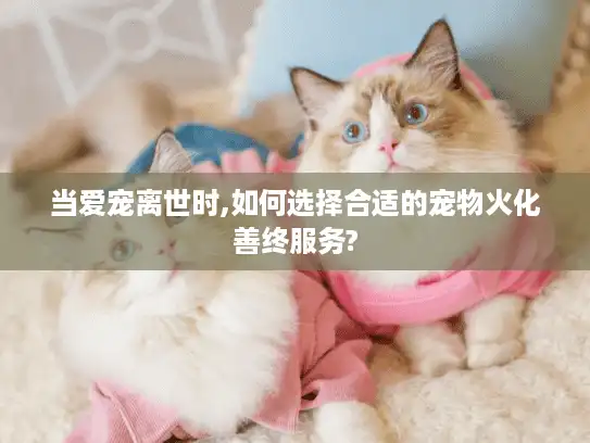 当爱宠离世时,如何选择合适的宠物火化善终服务?