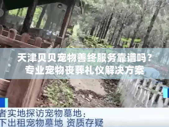 天津贝贝宠物善终服务靠谱吗？专业宠物丧葬礼仪解决方案