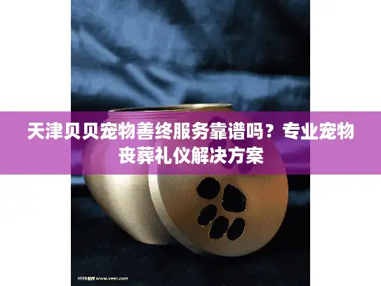 天津贝贝宠物善终服务靠谱吗？专业宠物丧葬礼仪解决方案