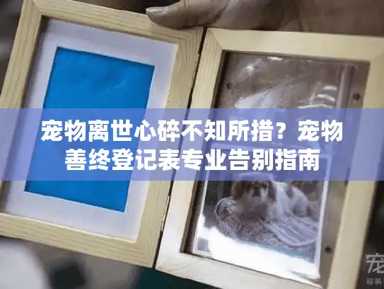 宠物离世心碎不知所措？宠物善终登记表专业告别指南