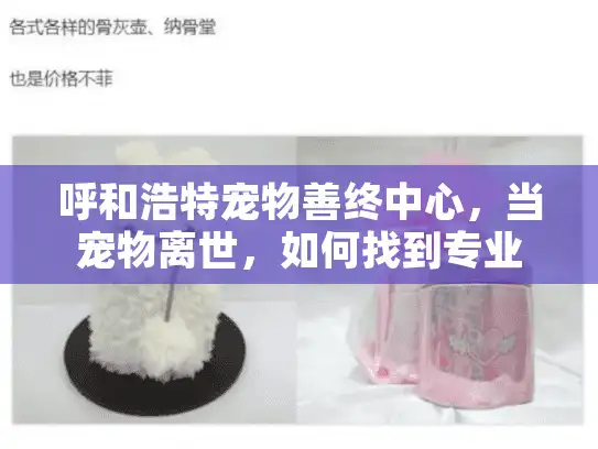 呼和浩特宠物善终中心，当宠物离世，如何找到专业告别服务？
