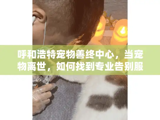 呼和浩特宠物善终中心，当宠物离世，如何找到专业告别服务？