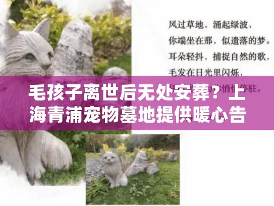 毛孩子离世后无处安葬？上海青浦宠物墓地提供暖心告别方案