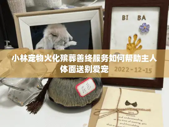 小林宠物火化殡葬善终服务如何帮助主人体面送别爱宠