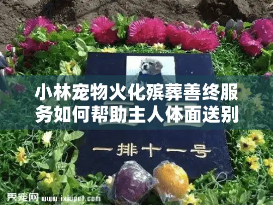 小林宠物火化殡葬善终服务如何帮助主人体面送别爱宠