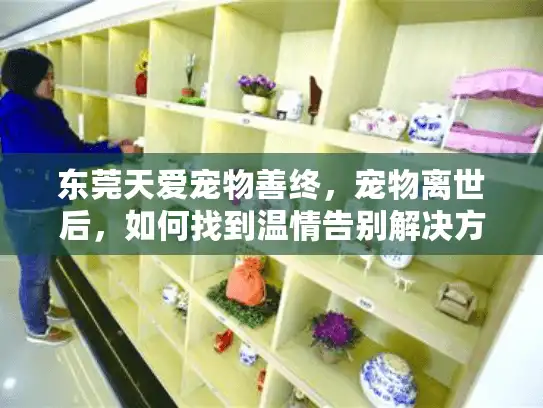 东莞天爱宠物善终，宠物离世后，如何找到温情告别解决方案？