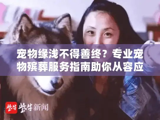 宠物缘浅不得善终？专业宠物殡葬服务指南助你从容应对
