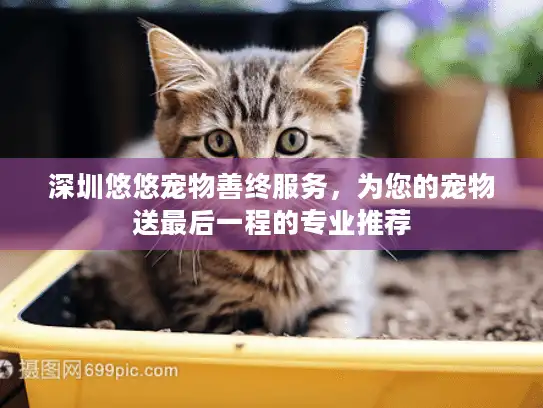 深圳悠悠宠物善终服务，为您的宠物送最后一程的专业推荐