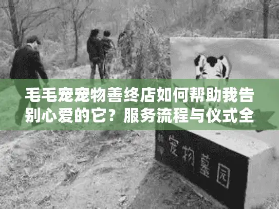 毛毛宠宠物善终店如何帮助我告别心爱的它？服务流程与仪式全解析