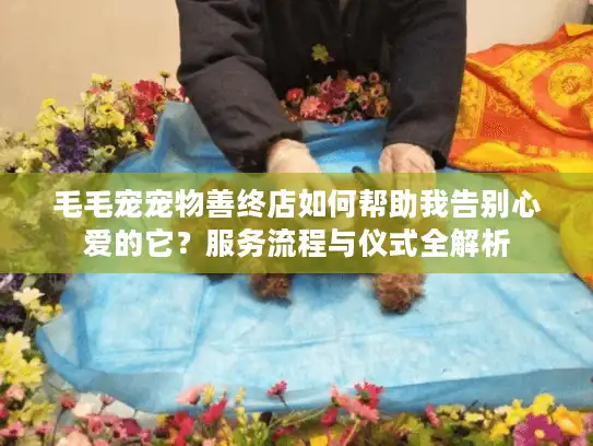 毛毛宠宠物善终店如何帮助我告别心爱的它？服务流程与仪式全解析