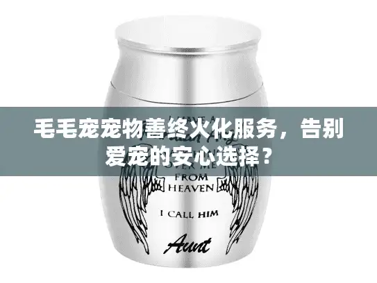 毛毛宠宠物善终火化服务，告别爱宠的安心选择？
