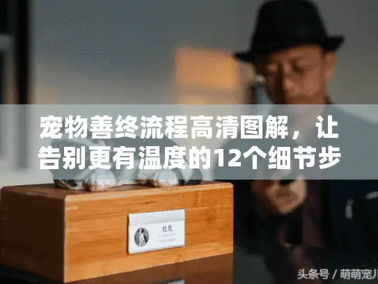 宠物善终流程高清图解，让告别更有温度的12个细节步骤