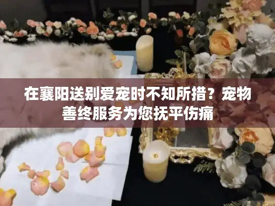 在襄阳送别爱宠时不知所措？宠物善终服务为您抚平伤痛