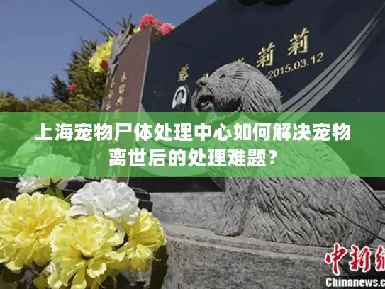 上海宠物尸体处理中心如何解决宠物离世后的处理难题？