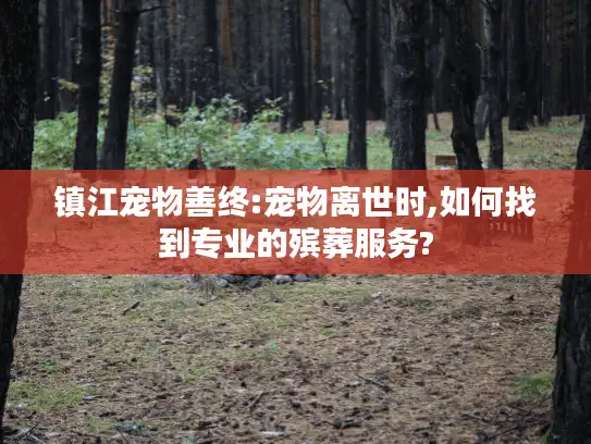镇江宠物善终:宠物离世时,如何找到专业的殡葬服务?