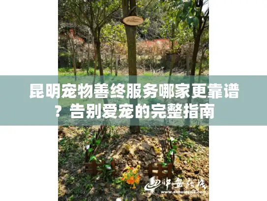 昆明宠物善终服务哪家更靠谱？告别爱宠的完整指南