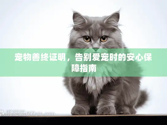 宠物善终证明，告别爱宠时的安心保障指南