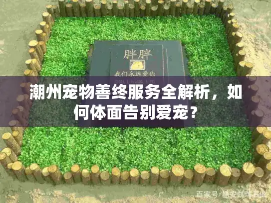潮州宠物善终服务全解析，如何体面告别爱宠？