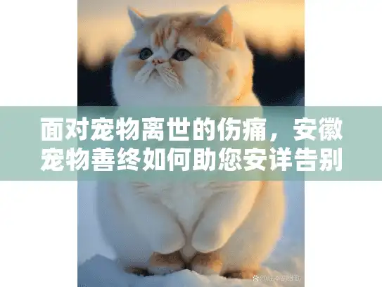 面对宠物离世的伤痛，安徽宠物善终如何助您安详告别？
