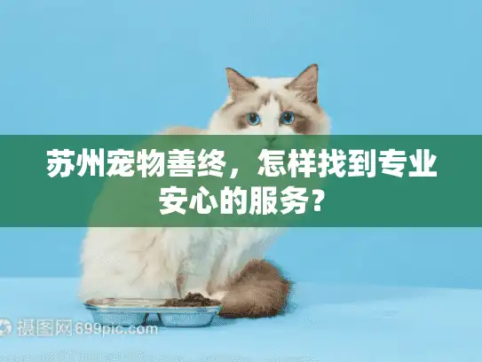 苏州宠物善终，怎样找到专业安心的服务？