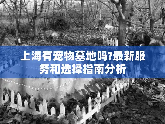 上海有宠物墓地吗?最新服务和选择指南分析