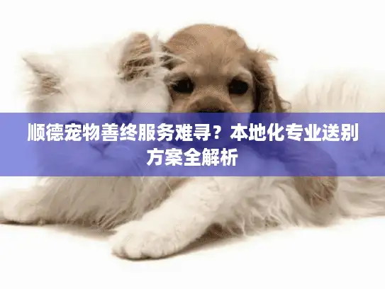 顺德宠物善终服务难寻？本地化专业送别方案全解析