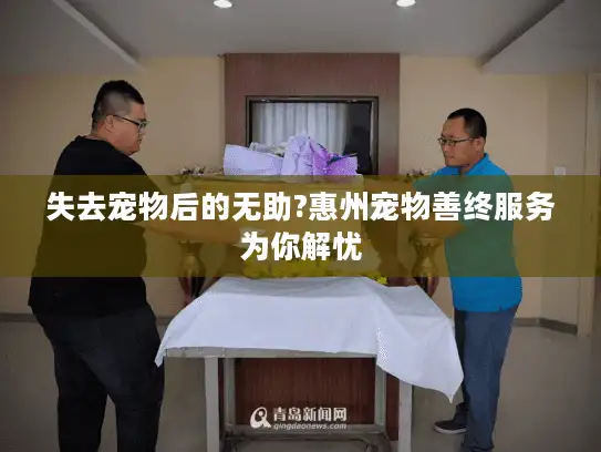 失去宠物后的无助?惠州宠物善终服务为你解忧