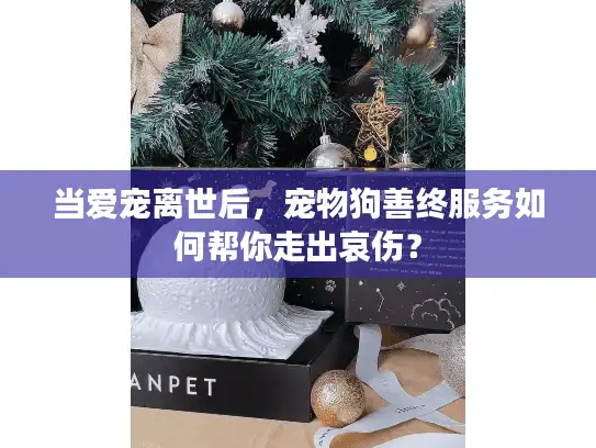 当爱宠离世后，宠物狗善终服务如何帮你走出哀伤？