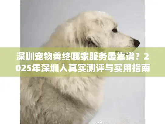 深圳宠物善终哪家服务最靠谱？2025年深圳人真实测评与实用指南